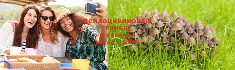 Псилоцибиновые грибы MAGIC MUSHROOMS  omg ONION  Светогорск 